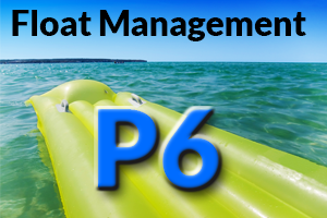 Better P6 Float Management through Proactive Analysis